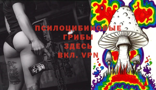 гашик Елабуга