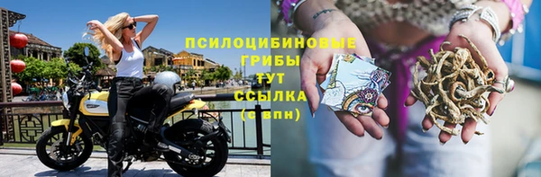 гашик Елабуга