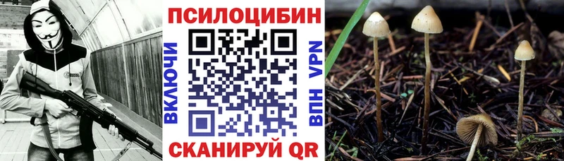 Галлюциногенные грибы мухоморы  Купить  Венёв 